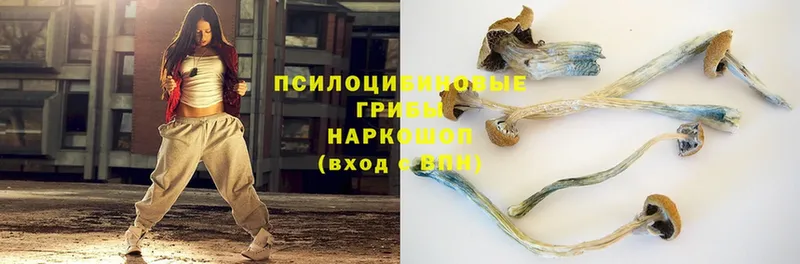 ссылка на мегу ONION  Новокубанск  Галлюциногенные грибы MAGIC MUSHROOMS 